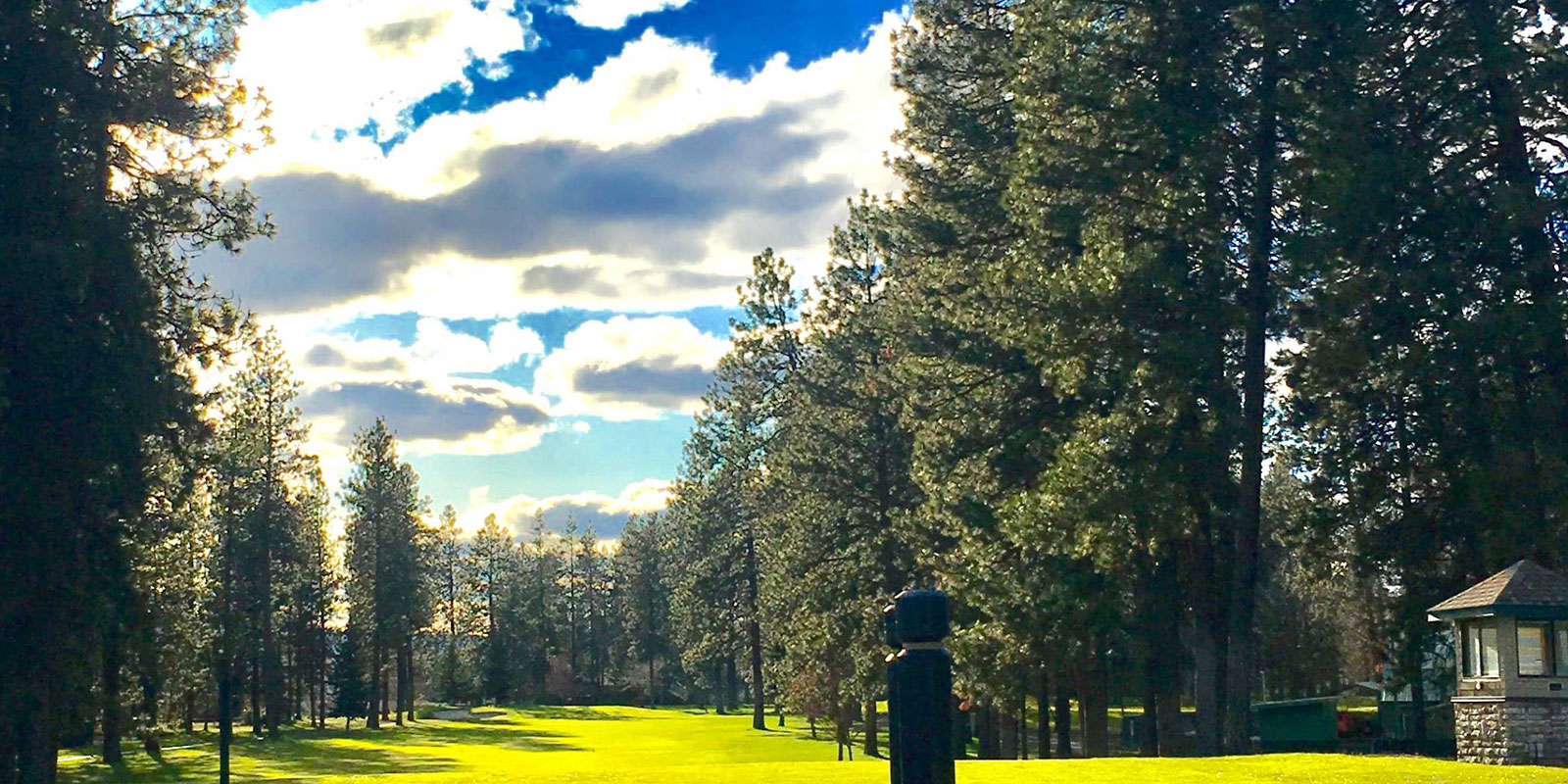 Featured Listing